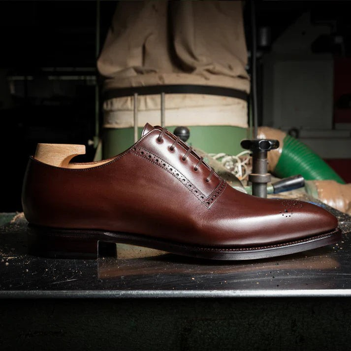 Bourgee a world class shoe store TLB Artista Picasso brown leather oxford shoe with a squared toe and broguing