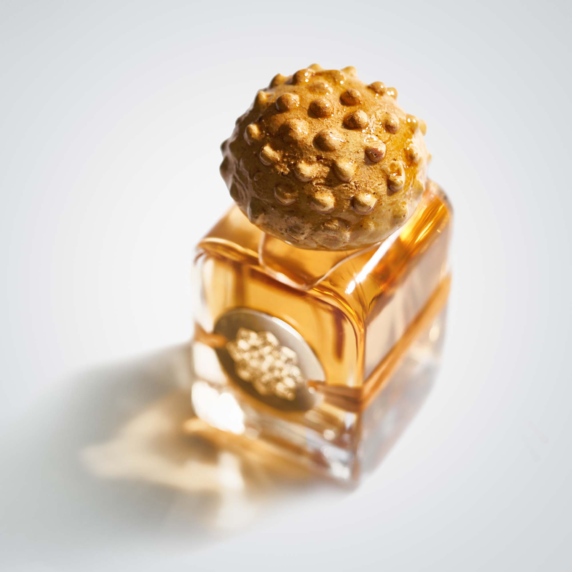 Mendittorosa Sogno Reale